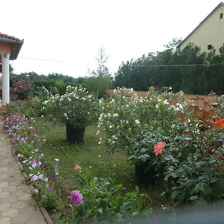 Liget Panzio Hotel Nyirbogdany Екстериор снимка