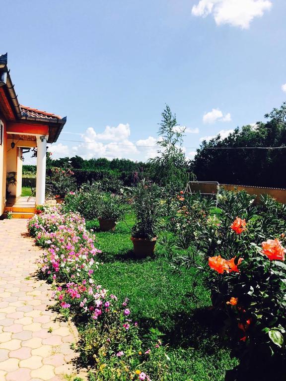 Liget Panzio Hotel Nyirbogdany Екстериор снимка